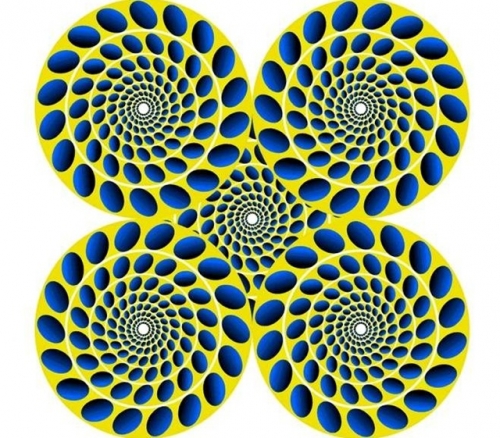 IMAGE/