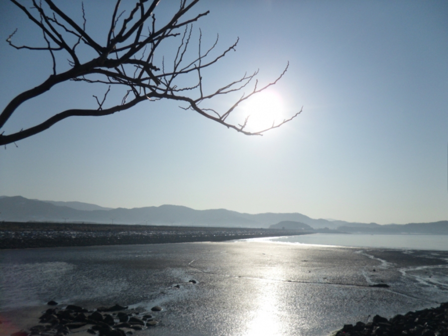IMAGE/
