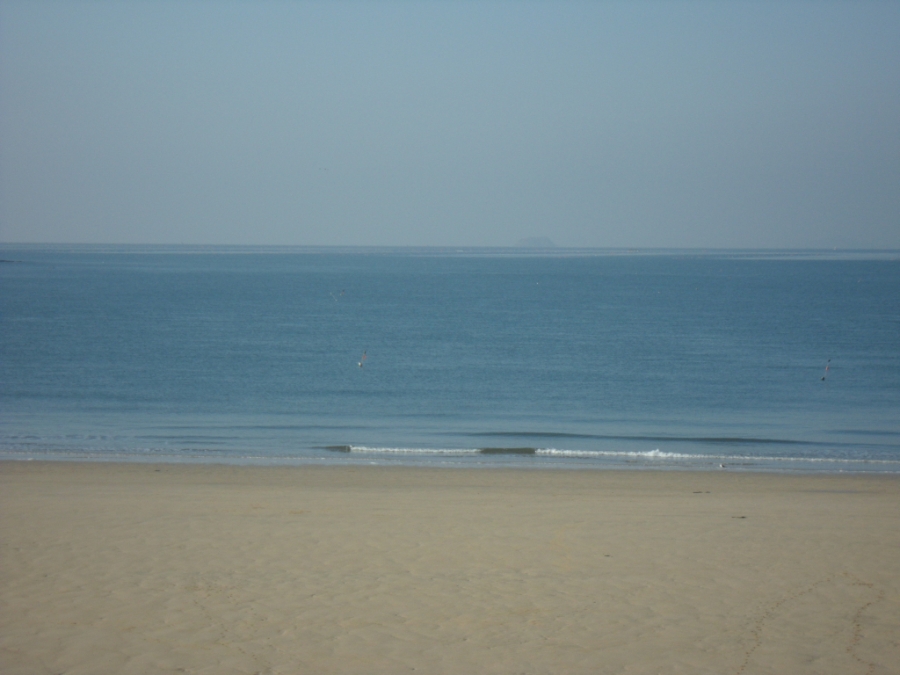 IMAGE/