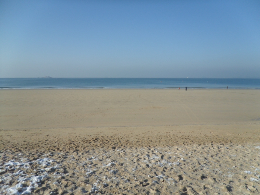 IMAGE/