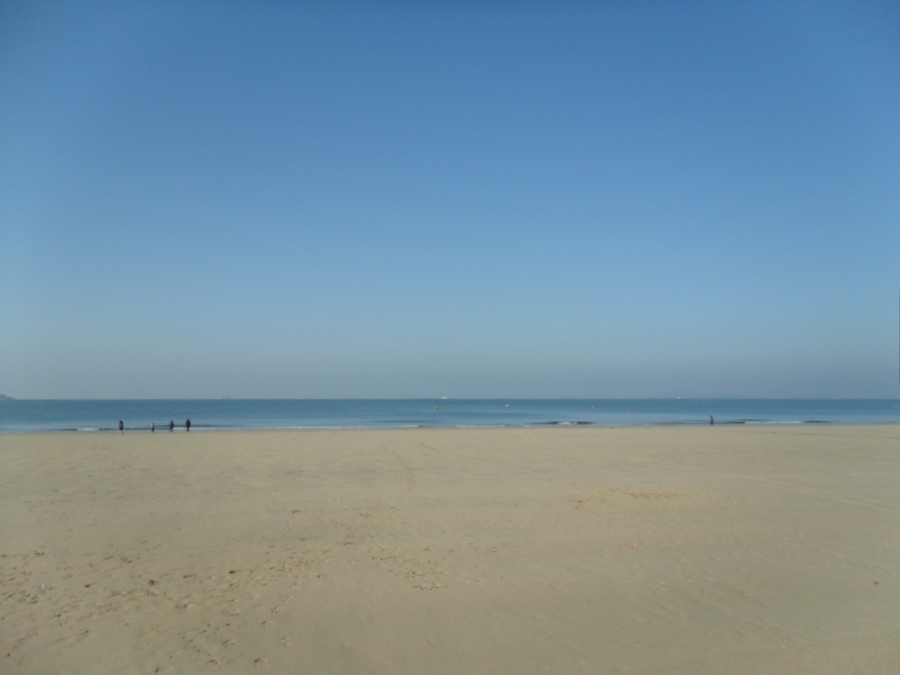 IMAGE/