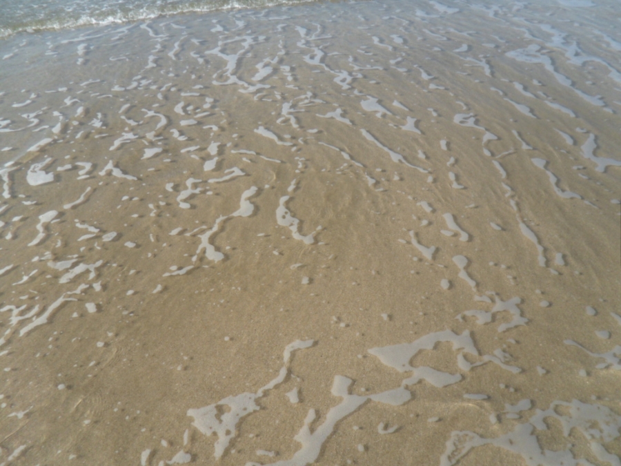 IMAGE/