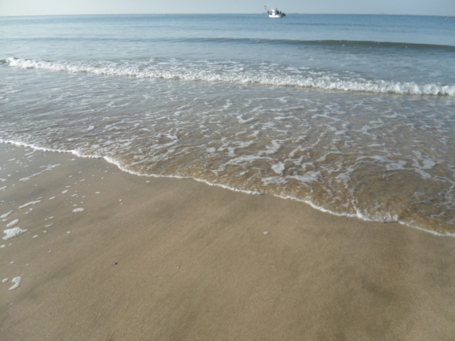 IMAGE/